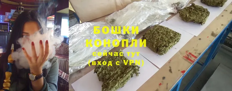 Марихуана THC 21%  купить наркотик  Новодвинск 